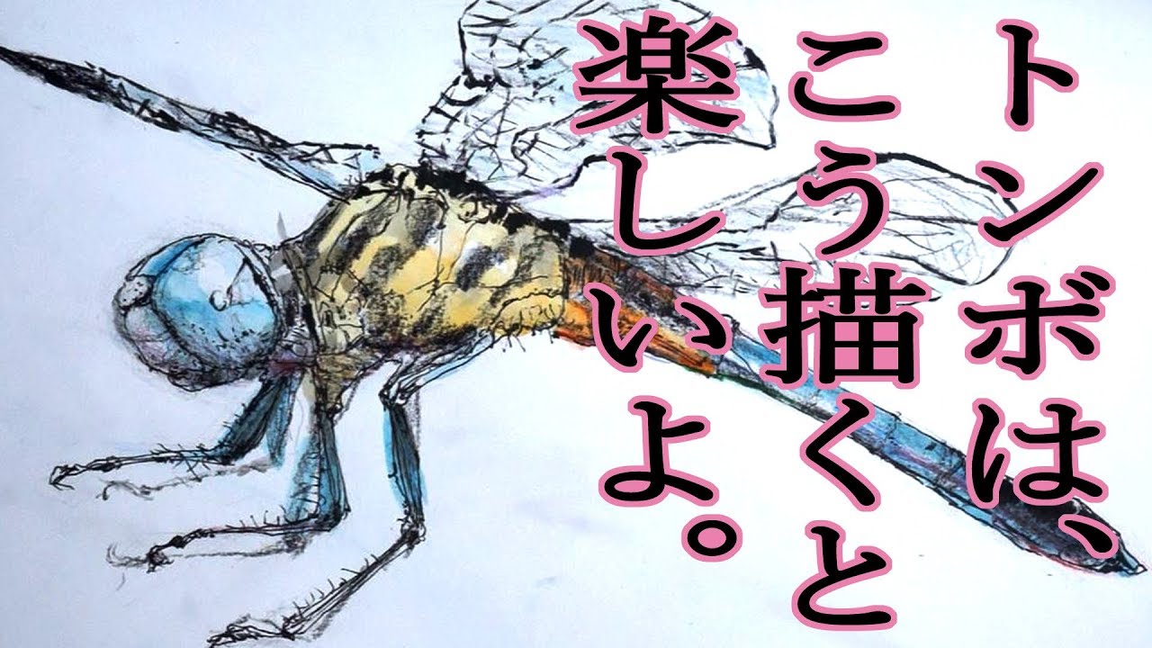 デッサン描き方 手描き実速 詳しい口頭解説 トンボ How To Draw Dragonfly Youtube