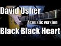 Разбор на гитаре. David Usher - Black Black Heart (Acoustic Version)