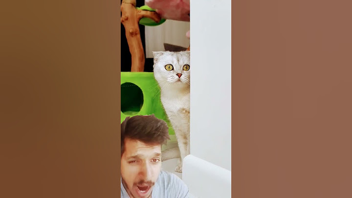 Black magic by petkit pura Max 🤧🤕 #funny #cat #memes #comedy #trending