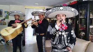 Video thumbnail of "MARIACHIS EN LIMA Perú Int. "REAL GUADALAJARA"  (Flor sin Retoño) TEL/WhatsApp: 902651648"