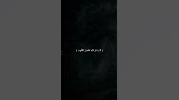 تلاوة من سورة القلم | #اكسبلور quran
