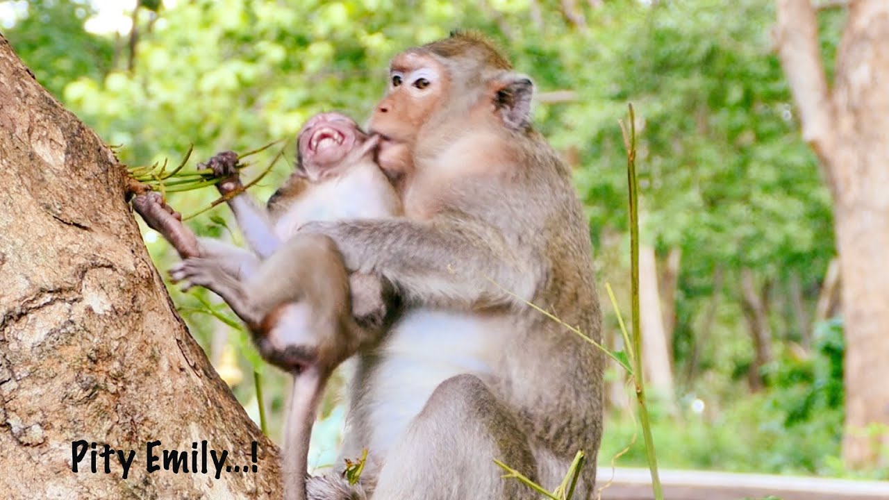 Since Ally & Albert Left, Tiny Emily Suffered From Her Meanest Mom So Much - She Isn't Pity Emily ?