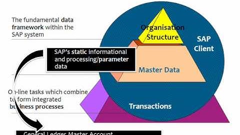 SAP ERP FI (Finance) General Ledger Master Account Display