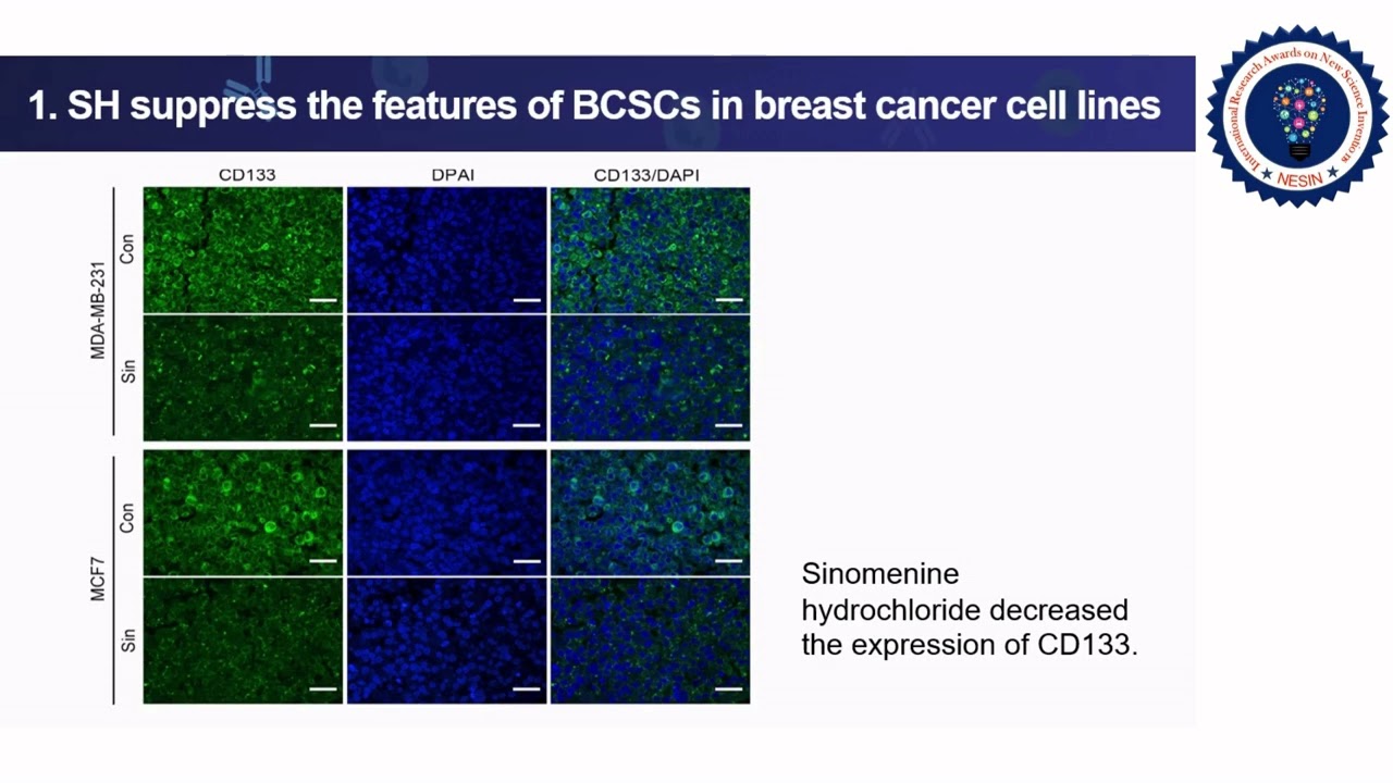 Sinomenine hydrochloride suppresses the stemness of breast cancer stem cells_abstract