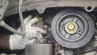 Lexus ES330 power steering belt and alternator belt replacement