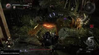 Nioh use the Environment