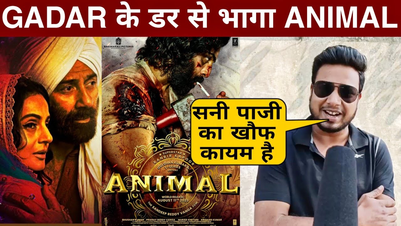 Animal Postponed | Gadar 2 | Sunny Deol Vs Ranbir Kapoor | Gadar 2 Movie Vs Animal Movie Vs OMG 2