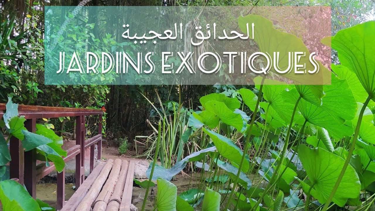 Jardins exotiques de Bouknadel الحدائق العجيبة لبوقنادل 🏝️
