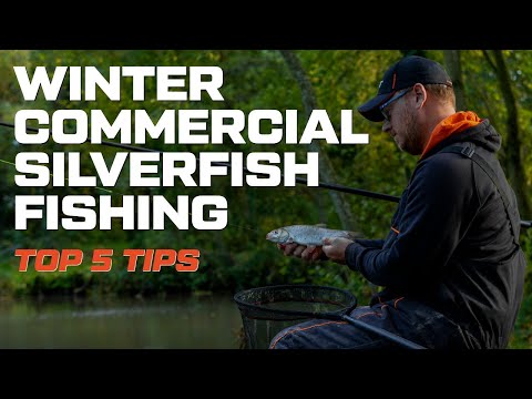 Winter Commercial Silverfish Fishing | Top 5 Tips | Adam Richards