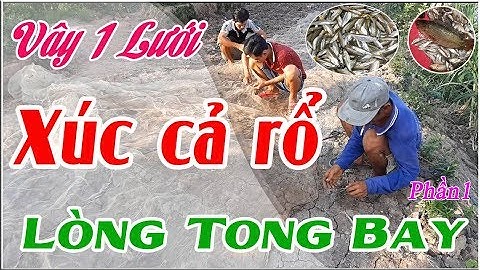 Bắt cá mùa nước nổi ở miền tây, kéo lưới bắt cá trên đồng đầy nước, (Phần 1) [Sông nước miền tây tv]