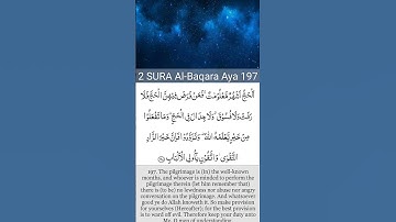 Surah Al-Baqarah | Ayat#197 |@TAYYABA-UL-QURAN (HD) | سورة البقرة