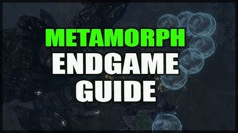 PATH of EXILE: Metamorph ENDGAME Mechanics Guide - How to Farm Unique Organs