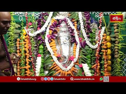 గుంటూరులో కొలువుదీరిన శాకాంబర గణపతి.. కనులారా దర్శించండి | Shakambari Ganapathi Blessings