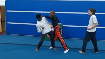 Kung Fu Break Down Of The Flow Vid 10 Mantis Kung Fu Sifu Bryan