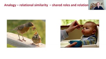 Matt Slocombe: Using Developmental Trajectories to Understand Analogical Reasoning Development