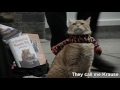 A Street Cat Named Bob OST - Satallite Moments - Lyrics