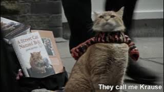 A Street Cat Named Bob OST - Satallite Moments - Lyrics