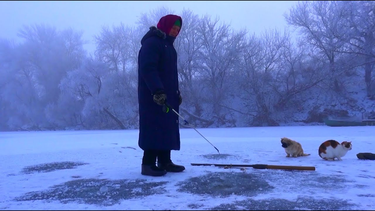 Рыбалка зимой от Михалыча. В поисках активной рыбы. Бабуля ловит окуней