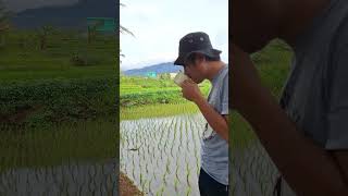 Ngopi heula meh cenghar