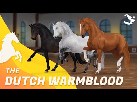 Dutch Warmblood ✨ | Star Stable Horses