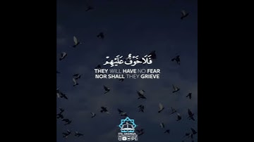ياسر الدوسري صوت يقتل حزنك♥️⛅️/سورة الأحقاف/حالات واتساب القران/حالات واتس دينية