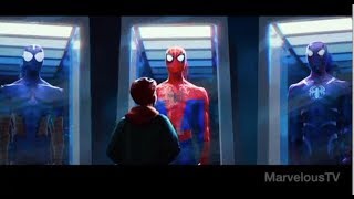 NEW!!!!  SPIDER-MAN:  Into The Spider Verse