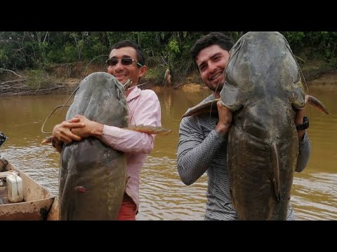 Video: Captura De Bagre (gigante De Agua Dulce - 2)