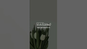 الأية 77 من سورة الحج 🎧