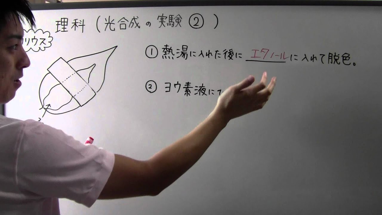 中１ 理科 １ ７ 旧 光合成の実験 Youtube