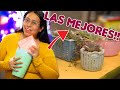 Mejores macetas para trasplantas tus plantas 🥰