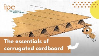 CORRUGATED CARDBOARD 📦 Specifics and Manufacturing