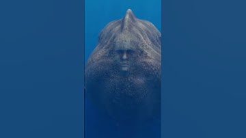 The Aquatic Horror - SCP-1128 Thalassophobia Animation