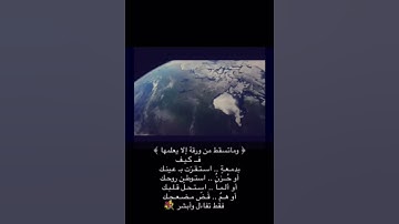 المحيسني تلاوة خاشعة