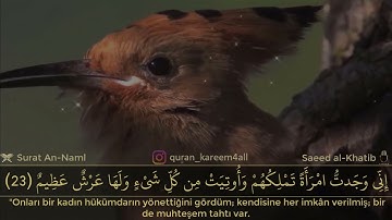 القارئ سعيد الخطيب 💗 حالات واتس اب انستا دينيه 🌴 وتفقد الطير فقال مالي لا أرى الهدهد