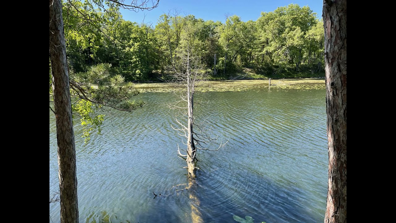 Ilahije 2022 (ilahije bez muzike)