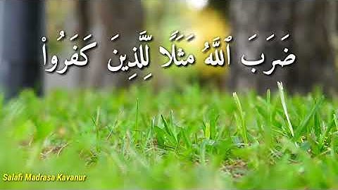سورة التحريم ( آية ١٢ - ١٠ )
