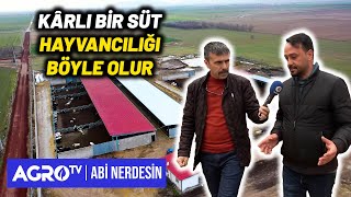 Kârlı Bir Süt Hayvancılığı Böyle Olur | Abi Nerdesin - Agro Tv