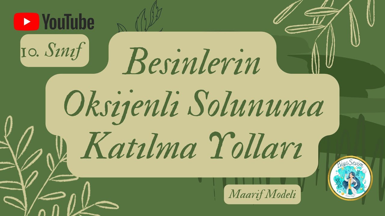 14) 10.SINIF BİYOLOJİ - BESİNLERİN OKSİJENLİ SOLUNUMA KATILMA YOLLARI