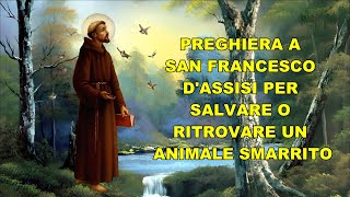 PREGHIERA A SAN FRANCESCO D&#39;ASSISI PER SALVARE O RITROVARE UN ANIMALE SMARRITO