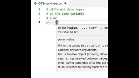 3. Variables in Python: different types