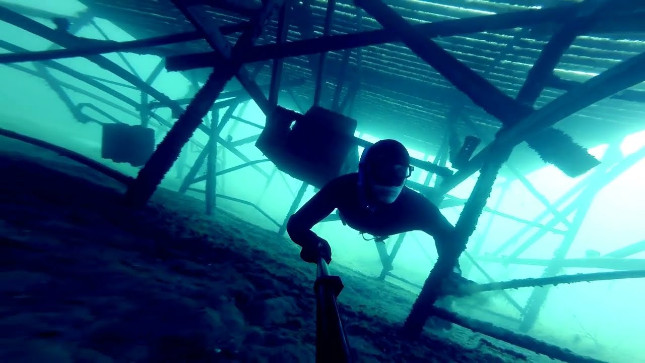 What If Humans Could BREATHE Underwater Forever 