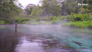 dia frio em Bonito água quente Rio Sucuri 4K