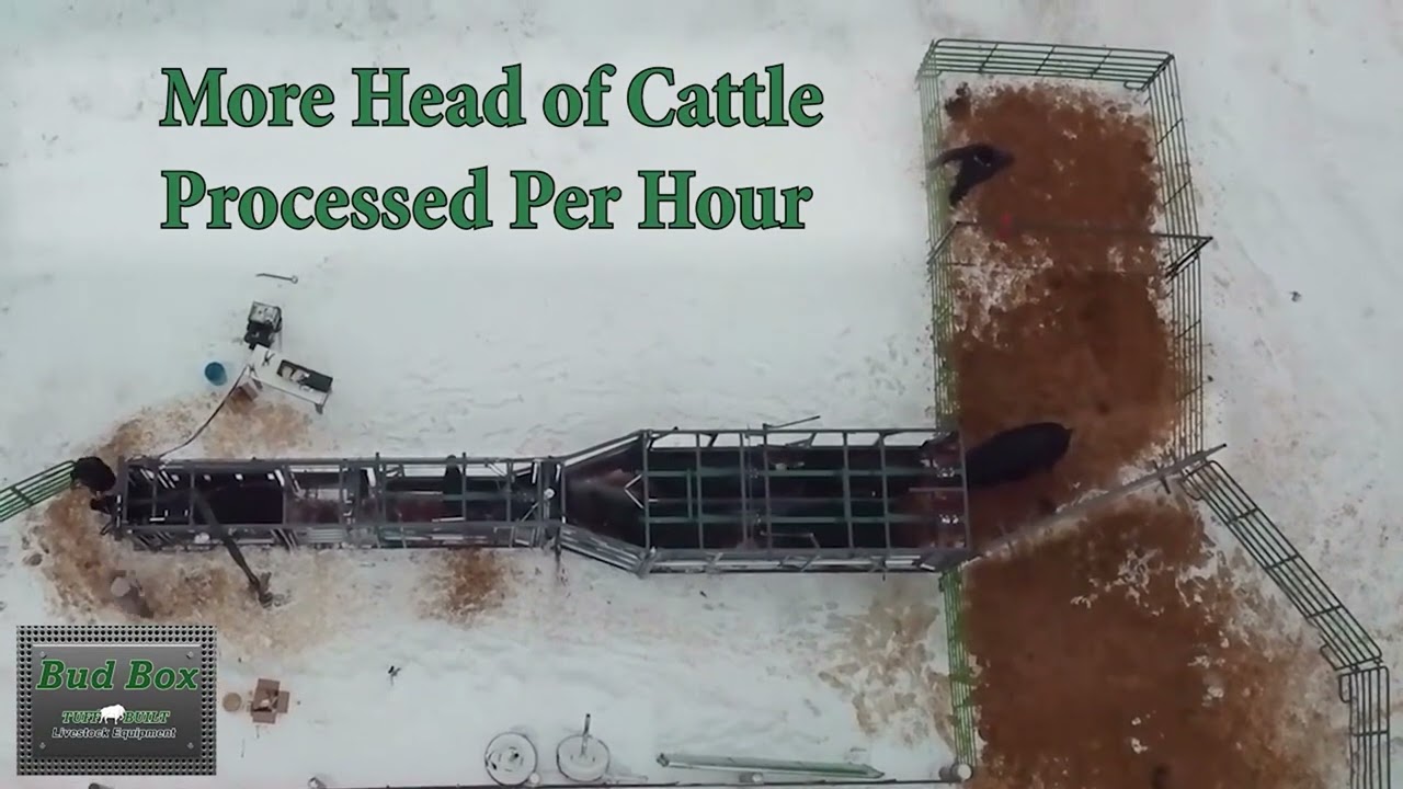 TuffBuilt BudBox with Dual Alley and Hydraulic Deluxe Chute