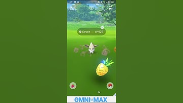 Shiny Eevee in Jump start research GUARENTEED OM Studios