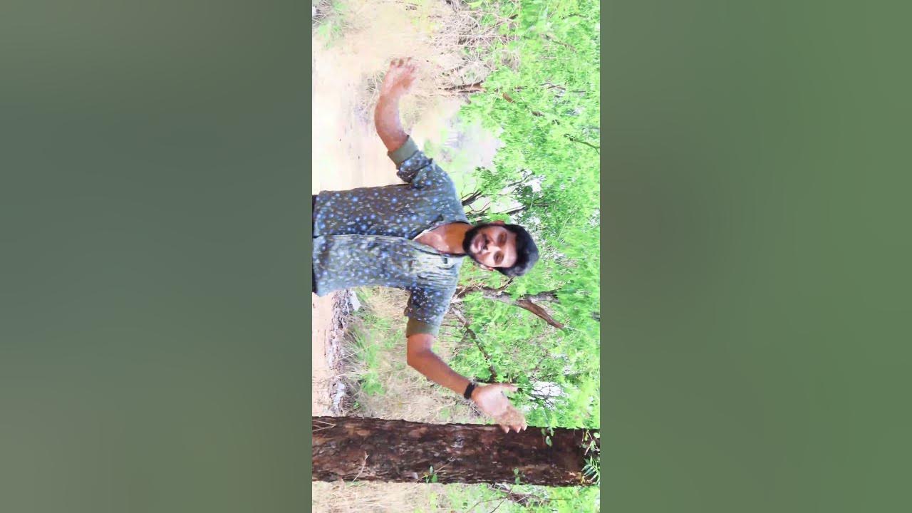 1Premam Malare  Video cover Song| Vijay Yesudas | Nivin Pauly | Sai Pallavi #mischief #jeevanantham
