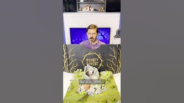 D&D - Our new game #sorts  #dnd  #kickstarter