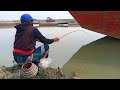 Watch the fisherman catch so many fish best fishing of the year fishing fishing hookfishing