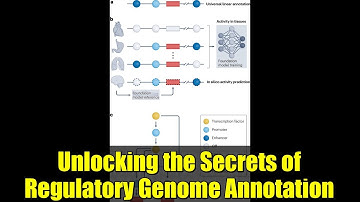 Unlocking the Secrets of Regulatory Genome Annotation