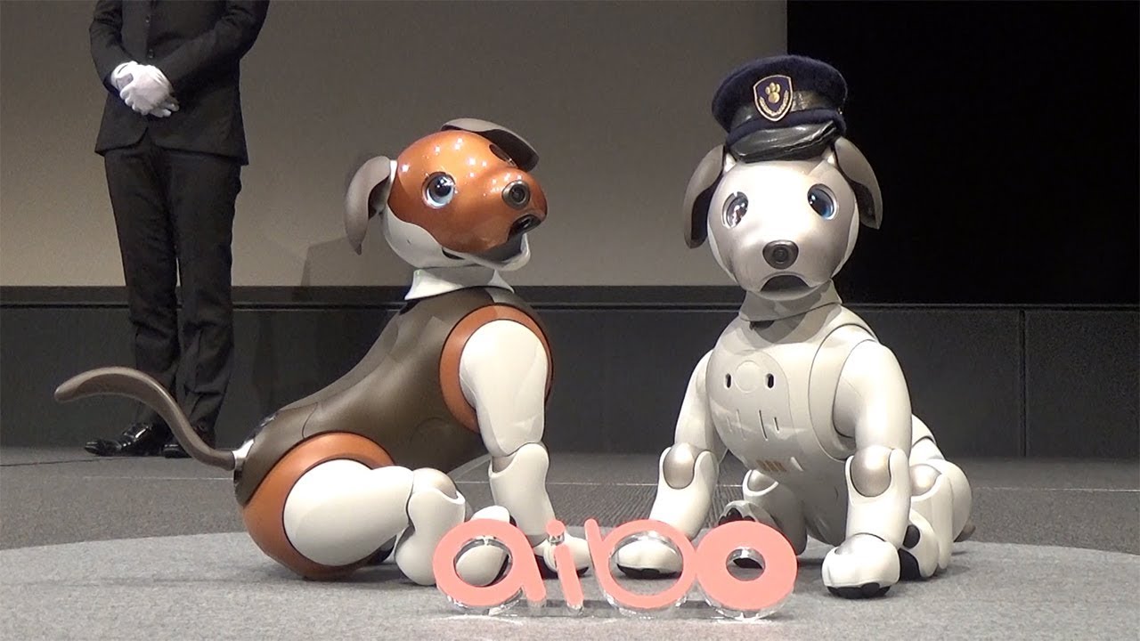 Sony teaches Aibo dog new trick with ‘I’m home’ update