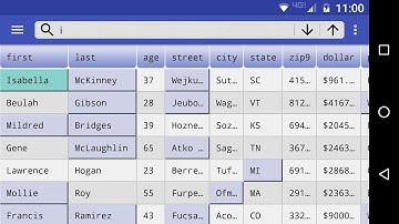 CSV Portal Demo Video